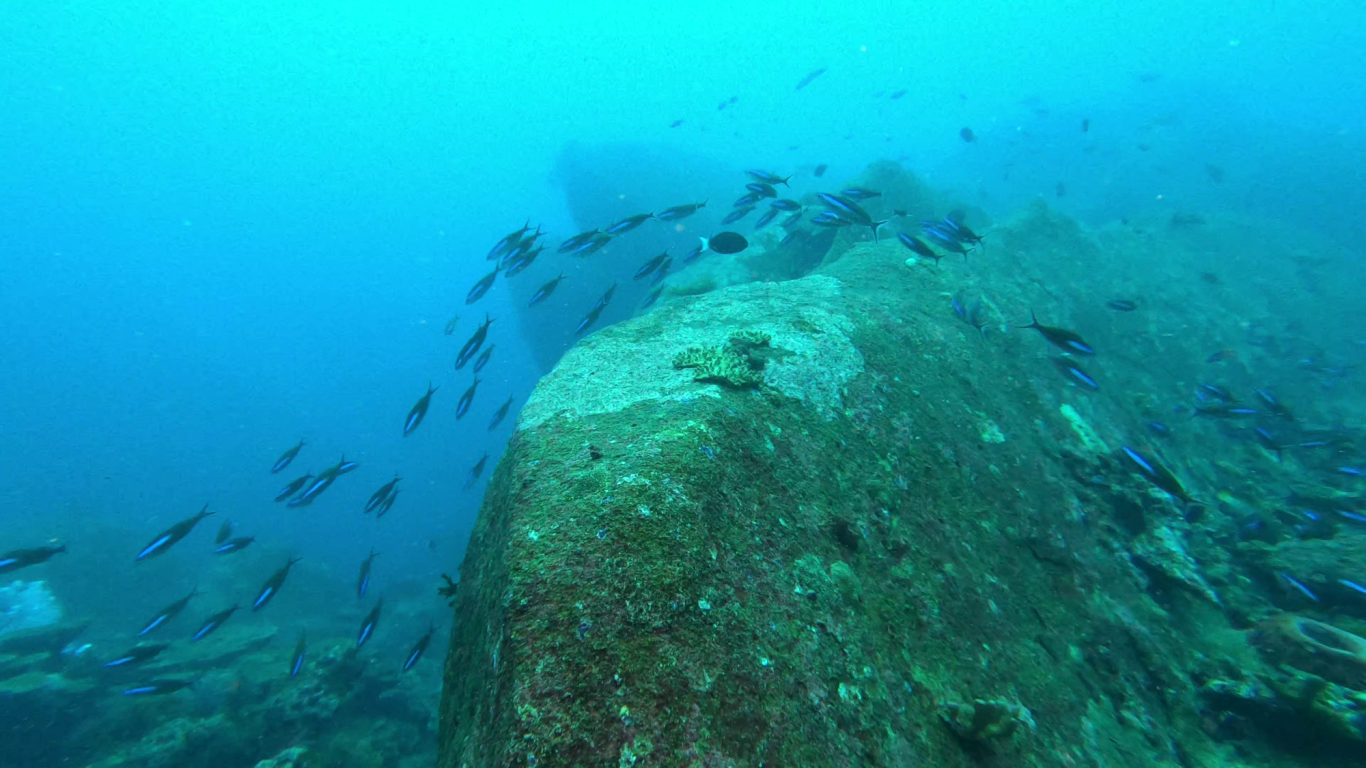 Tauchspot bei den Similan-Inseln
