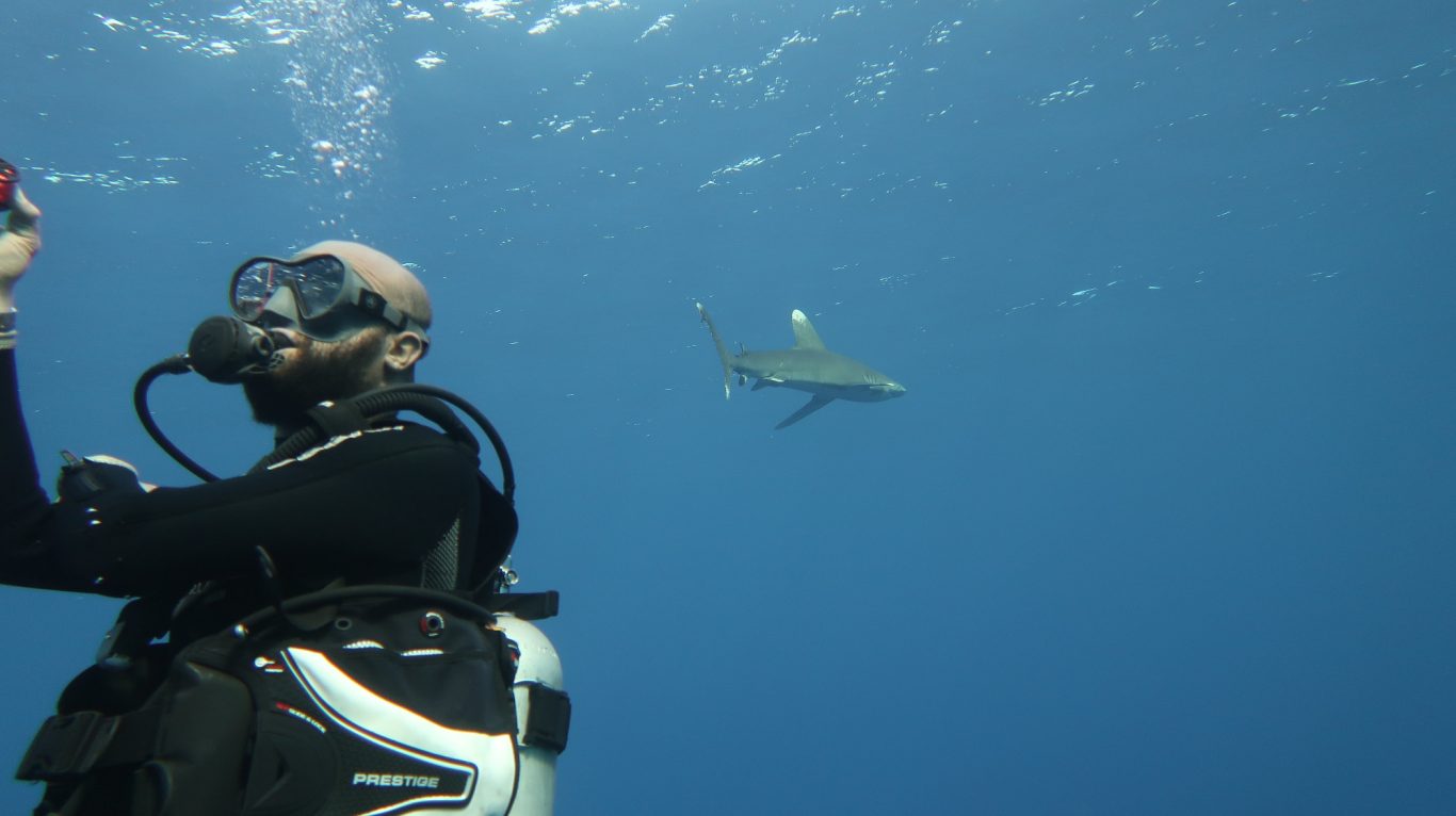 Guide mit Longimanus